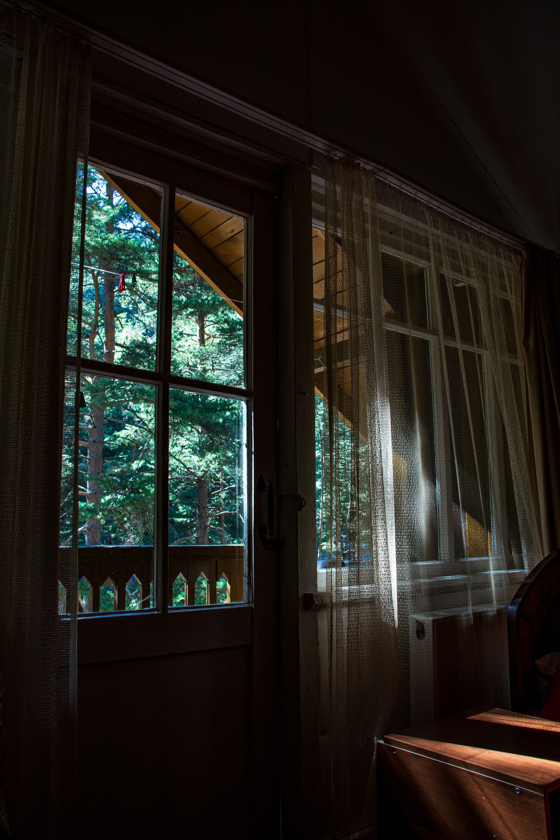 View through window to nature