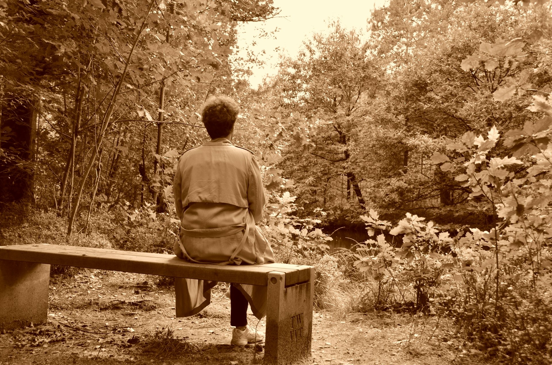 Meditation, seen from behind